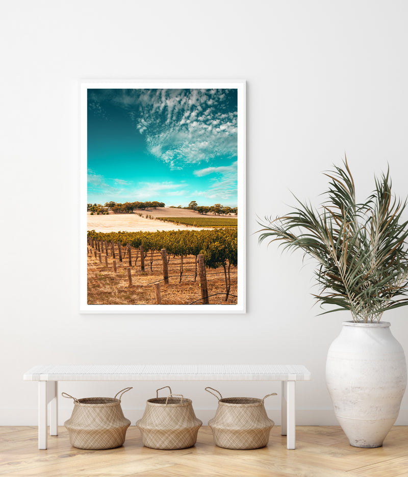 Australian Vineyard | Art Print