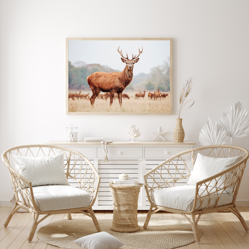 Mountain Stag | Art Print