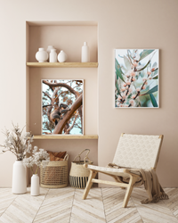Australian Outback Pair | Art Print