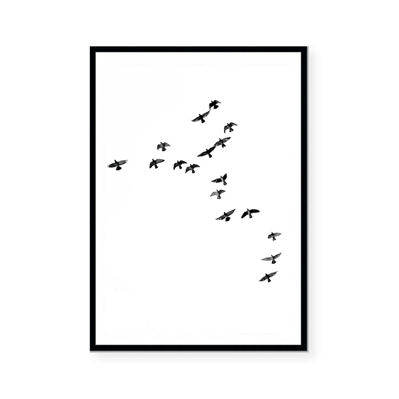 Birds | Art Print