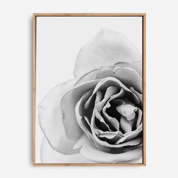 Blossom | Canvas Print