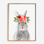 Baby Bunny | Canvas Print