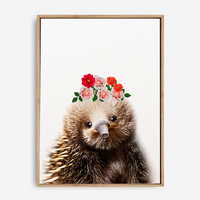 Echidna | Canvas Print