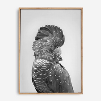 Coralie | Canvas Print
