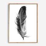 Feather | Canvas Print