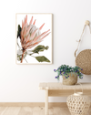 King Protea III | Art Print