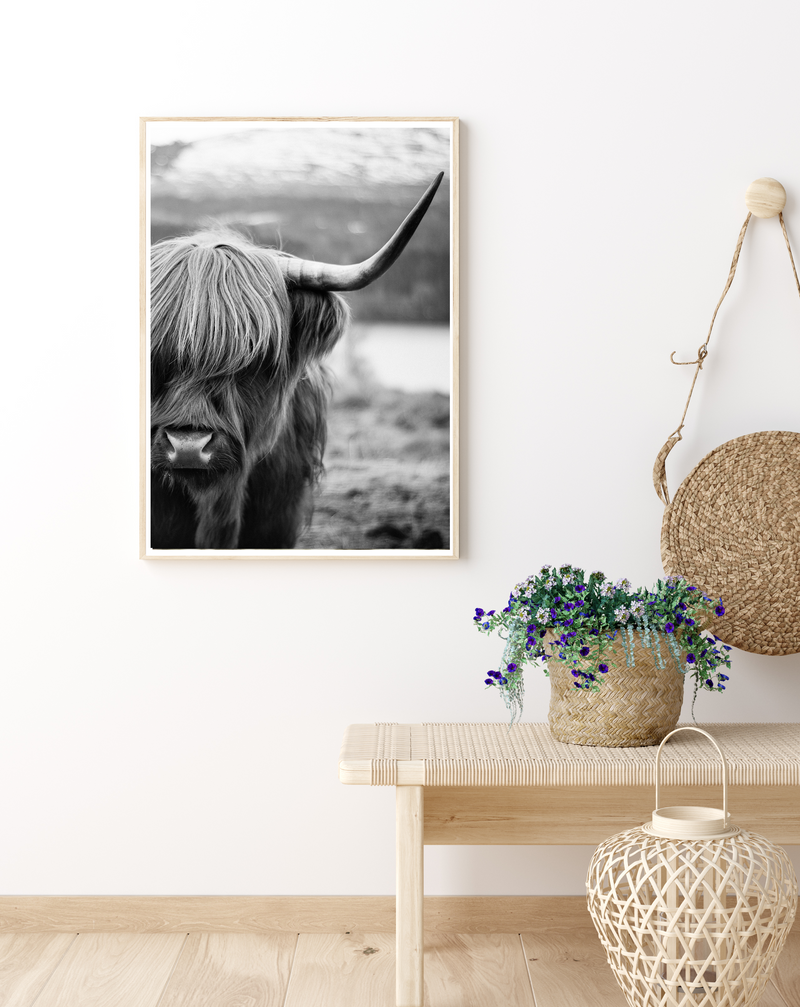 Highlander Cow | B&W | Art Print