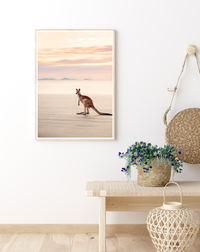 Kangaroo | Art Print