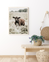 Cow | Art Print