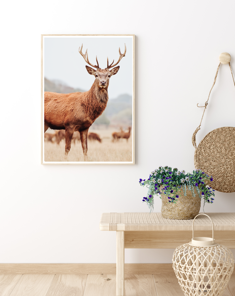 Mountain Stag II | Art Print