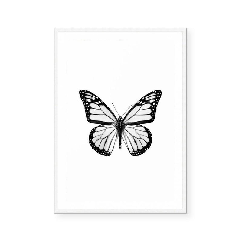 Butterfly | Art Print