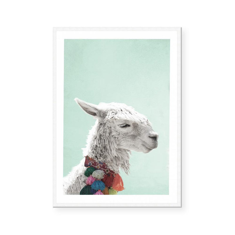 Llama | Art Print
