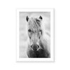 White Horse | Art Print