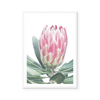 King Protea I | Art Print