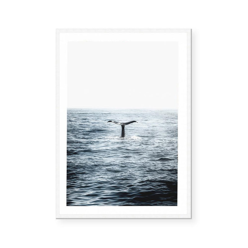 Humpback | Art Print