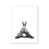 Bunny | Art Print