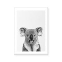 Koala | Art Print