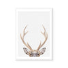 Antler | Art Print