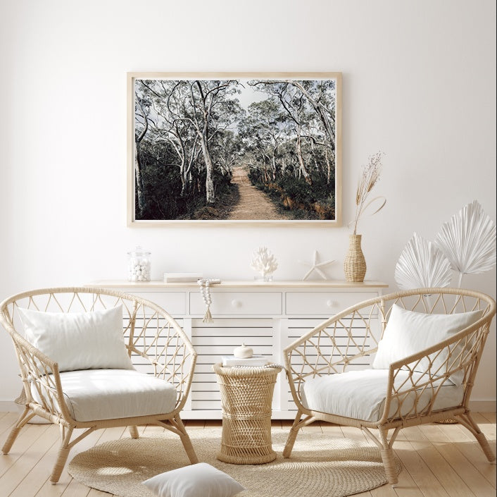 Australian Forest | Art Print