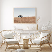 Australian Farmland | Art Print